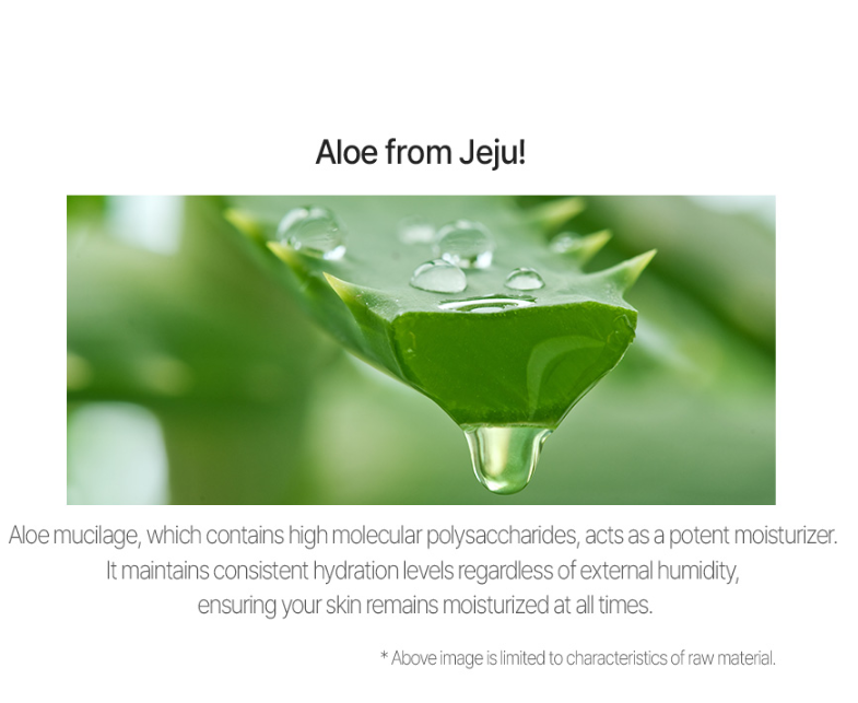 10% OFF I Jeju Fresh Aloe Soothing Gel - Tube 300ml
