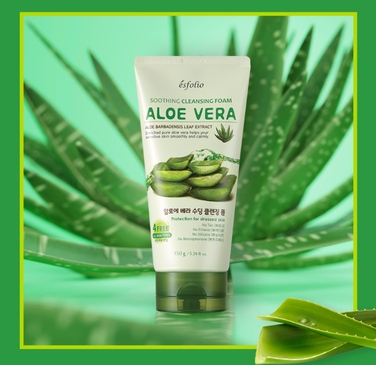 Aloe Vera Cleansing Foam