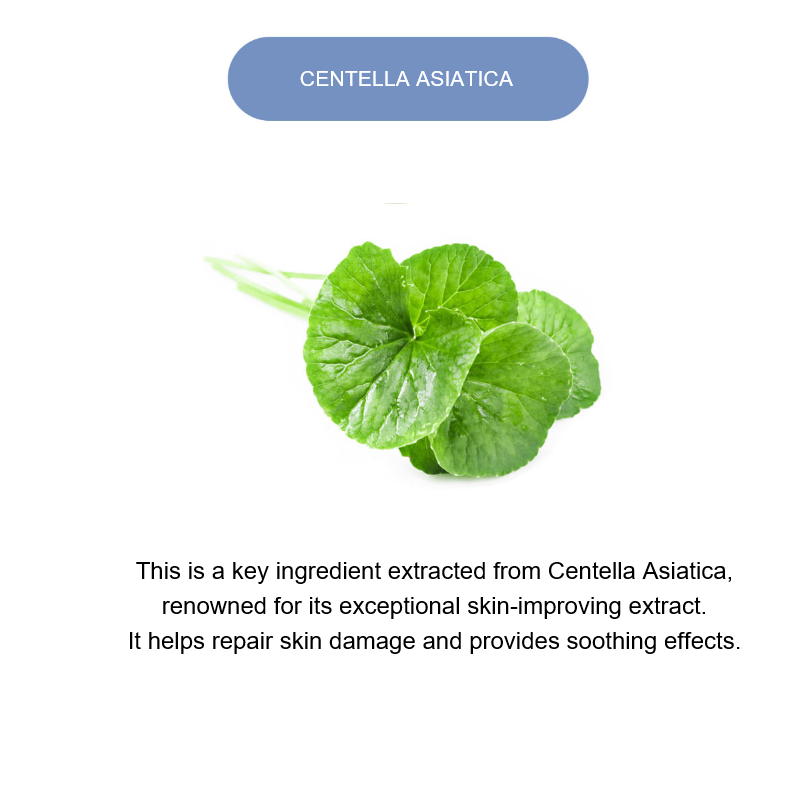 Hyaluronic Acid Houttuynia Cordata Cream