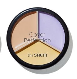 10% OFF | the Saem Triple Pot Concealer, 13g