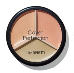 10% OFF | the Saem Triple Pot Concealer, 13g