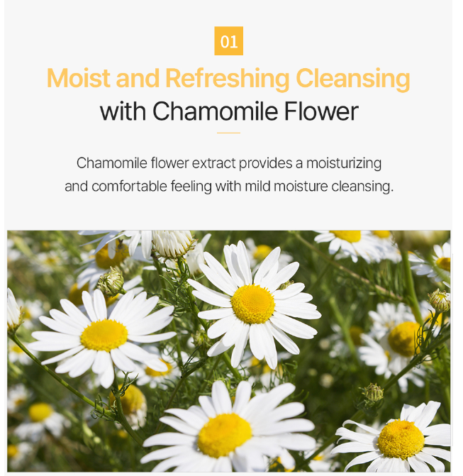 Garden Pleasure Chamomile Cleansing Tissue  | 100ea