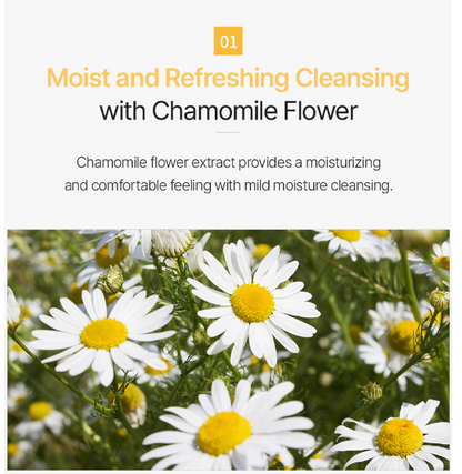 Garden Pleasure Chamomile Cleansing Tissue  | 100ea