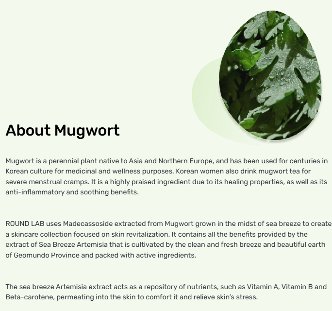 Mugwort Calming Toner